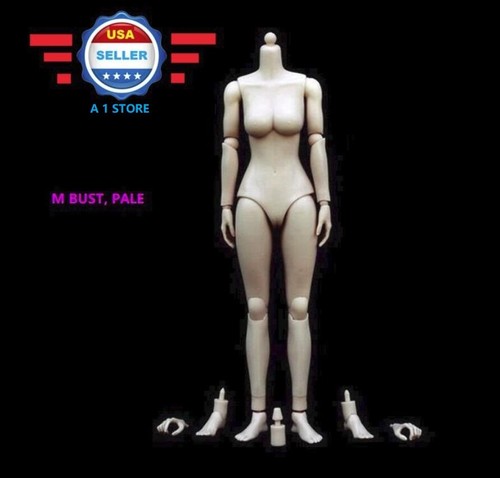 1//6 Scale Female Nude Figure Body Doll Medium Bust Pale Skin Tone