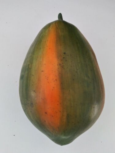 Papaya Fake foods staging foods and fruits Artificial