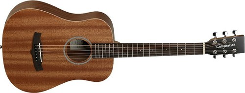 Tanglewood TW2 T Winterleaf Travel Acoustic
