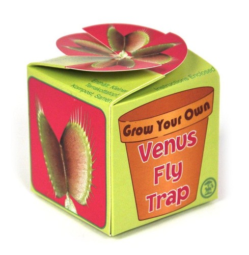 Développez votre propre venus fly trap