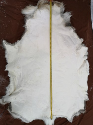 Reindeer skin //hide //rugs