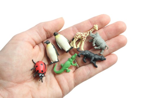 Mini Animals Preschool /& Kindergarten Matching Activity w// Miniatures speech