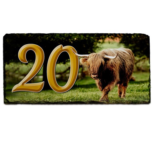 Highland Cow Número De Casa Puerta Cartel Placa de Nombre de pizarra Regalo Personalizado SL37