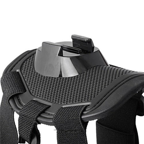 Harnais chien pour gopro et caméra de sport