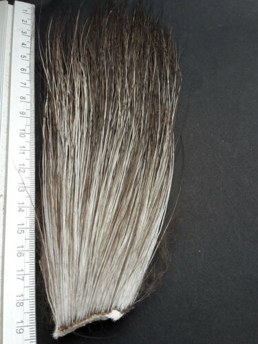 MOOSE MANE HAIR ELCH HAAR HAARLÄNGE über 15 cm NATUR