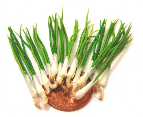 1:12 Scale 4 Large Untrimmed Spring Onions Tumdee Dolls House Kitchen Accessory
