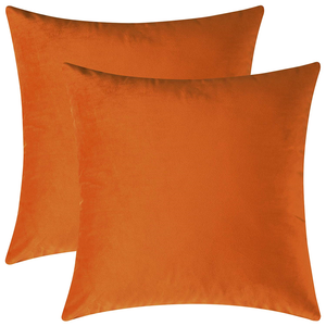 Mixhug Set of 2 Cozy Velvet Square Decorative Throw Pillow Covers for Couch and