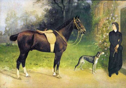 Lady Horse Dog Fox Like by K Wirth