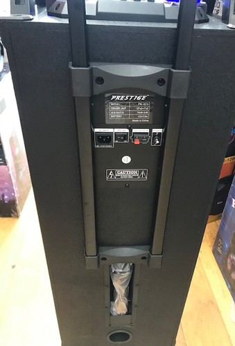 Bluetooth Rechargeable Party DJ Speaker Dual 12 inch with Lights Wireless Mic