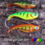 3 jigs pirks weedless guard pike bass perch fresh sea water fishing baits lures