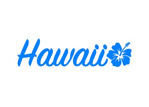 Hawaii Hibiscus Autocollant Vinyle Voiture Fenêtre Ordinateur Portable Surf AUTOCOLLANT