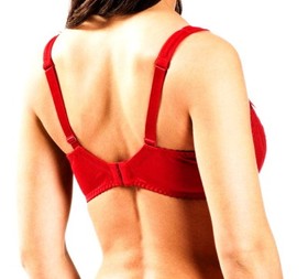 AUBADE A L'AMOUR SHEER RED FLORAL LACE BRA 34B NWT MSRP $129