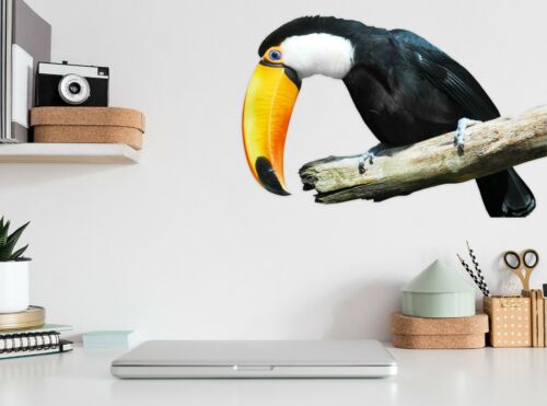 3D Toucan Trunk A86 Animal Wallpaper Mural Poster Wall Stickers Decal Zoe
