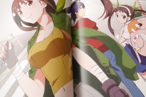 JAPAN Monogatari series Heroine Book vol.2 /"Mayoi Hachikuji/"