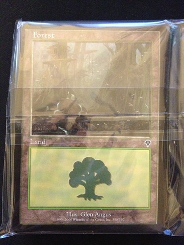 SAME ART MP-NM Magic MTG FTG 20 Basic Land #350 Forest Invasion
