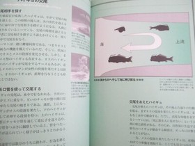 SEAMAN NO SEITAI Forbidden Pet Guide Fan Sony PS2 Dreamcast Book Japan 2002 SM87