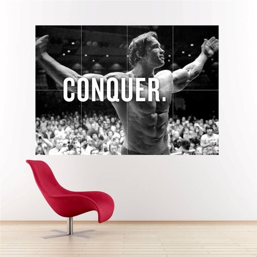Arnold Schwarzenegger add Huge Poster A359