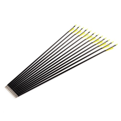 24X Fiberglaspfeile Pfeile Fiberglaspfeil Recurvebogen Sportbogen 28//30//32 zoll