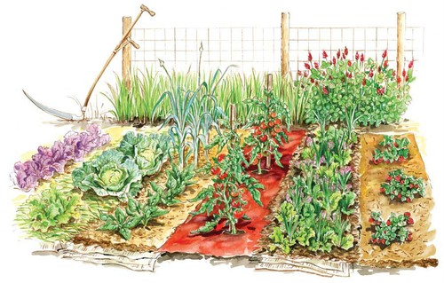 25 VEGETABLE Emergency Survival Seed Container Garden Heirloom NON-GMO BANK SET