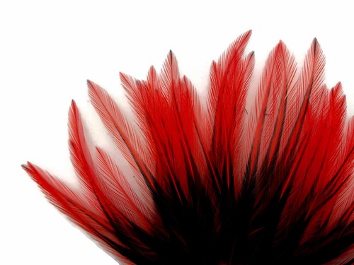 10 Pieces Red Dyed BLW Laced Short Rooster Cape Whiting Farm Feathers Craft