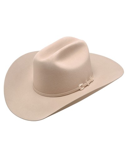Stetson Cowboy Hat 6X Beaver Fur SilverBelly SKYLINE-Free Hat Brush+No Tax Sale