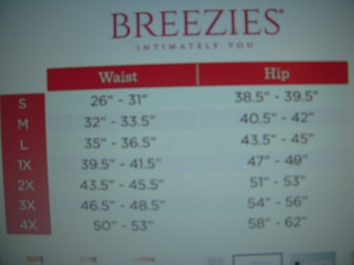 Breezies Lot of 4 Seamless Smoothing Mid-Thigh Shorts Panties Briefs A374503