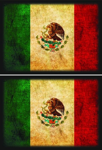 100ct Max Protection Standard Shuffle-Tech Sleeves MEXICO Flag MTG Flag Series