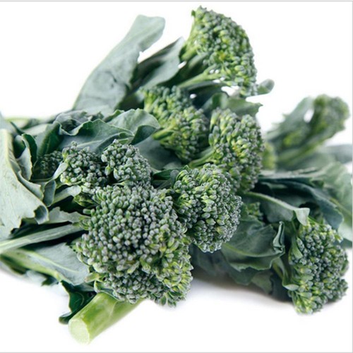 1000Pcs Green VEGETABLE BROCCOLI CALABRESE GREEN SPROUTING