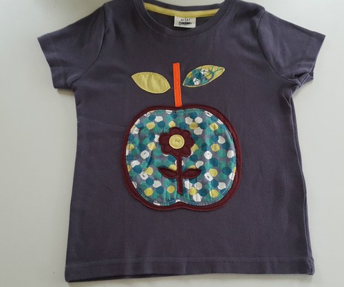 EX Mini Boden Retro Applique T-Shirt haut-âge 1-14 ans poire APPLE FLEUR