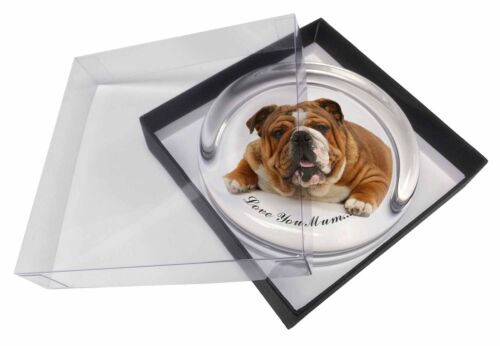 Bulldog /'Love You Mum/' Glass Paperweight in Gift Box Christmas Pres AD-BU7lymPW