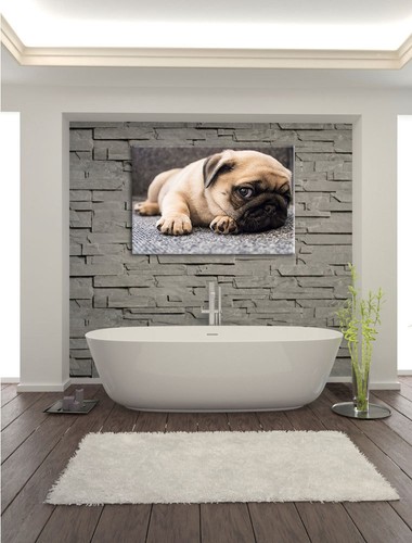 Süßer Mops auf Teppich Leinwandbild Wanddeko Kunstdruck