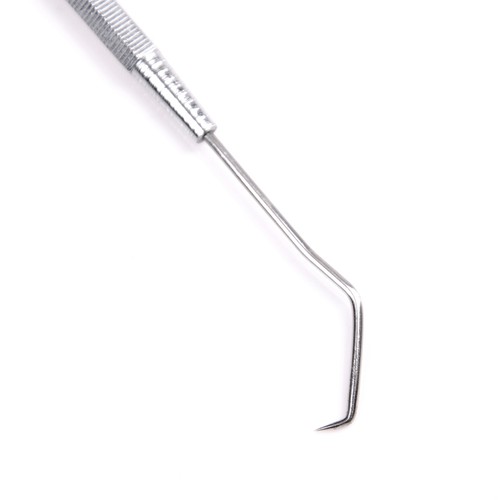 Dents nettoyage hygiénique capteur sonde crochet