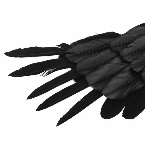 Feather Swallow Angel Wings Adult Hen Night or Kids Dance Party Cosplay Carnival