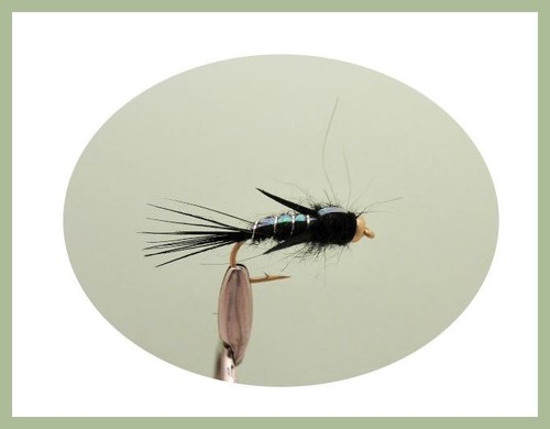 Mixed 10//12 Evil Weevils Trout Flies.18 Pack Mixed Colours Fishin Flies SF1i