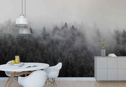 Nebel Wald Wolken Vlies Fototapete Tapete FW-1085