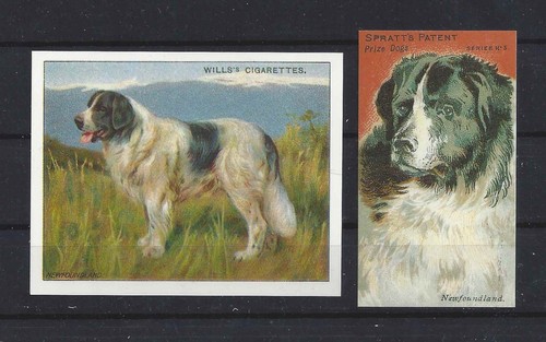 1903-1940 UK Reproduction Dog Art Cigarette Card Set 2 LANDSEER NEWFOUNDLAND
