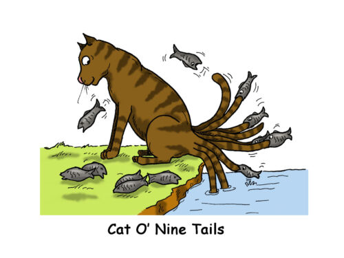 Birthday Cartoon Funny Greetings Card for Cat Lovers A6