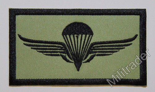 SALE!! Subdued Norway Norwegian Jump Wing Free Fall Star Patch
