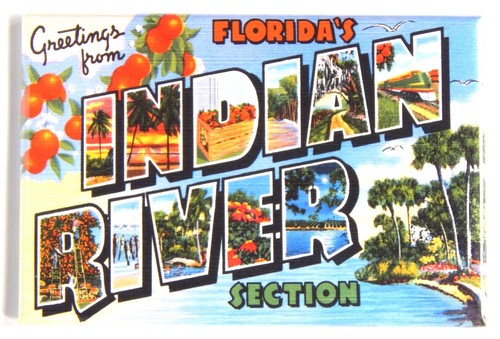 Details about / Greetings from Indian River Florida FRIDGE MAGNET travel souvenir