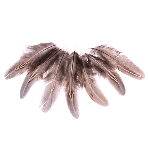 50 teile satz fasanenfedern 5-10 cm hühnerfedern für karneval diy handwerTPI