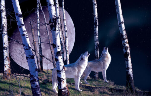 Jigsaw Puzzle Animal Wild Night Call Wolves 1000 pieces NEW Made in the USA