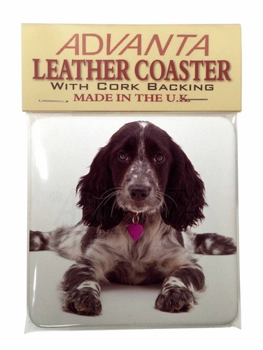 AD-SC13SC Cocker Spaniel Dog Christmas Gift Single Leather Photo Coaster Animal