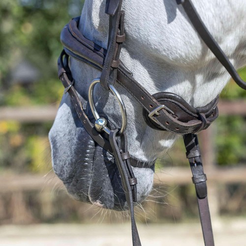 Details about / Sprenger Dynamic Rs Loose Ring 16 Mm Double Jointed Saddlery Snaffle Bit Gold