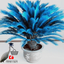 Seed Blue Cycas Mini Seed Flower Budding Rate 97/% Rare Potted Plant For Garden