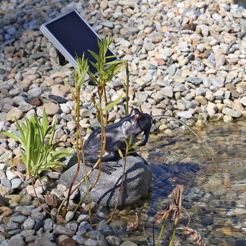 CLGarden Solar Wasserspeier NSP10 Frosch auf Stein Wasserspiel Set mit Pumpe