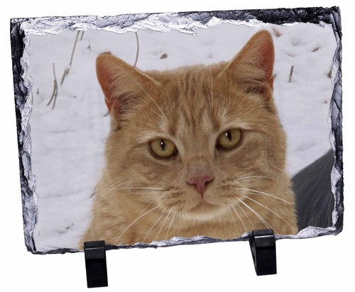 AC-116SL Pretty Ginger Cat Photo Slate Christmas Gift Ornament