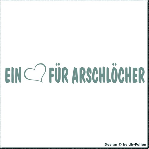 cartattoo4you AK-01237 EIN Auto Aufkleber Sprüche FÜR ARSCHLÖCHER Herz