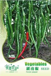 vegetable chat up lines house vegetable chat up lines house