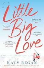 Little Big Love by Katy Regan (Paperback, 2019)