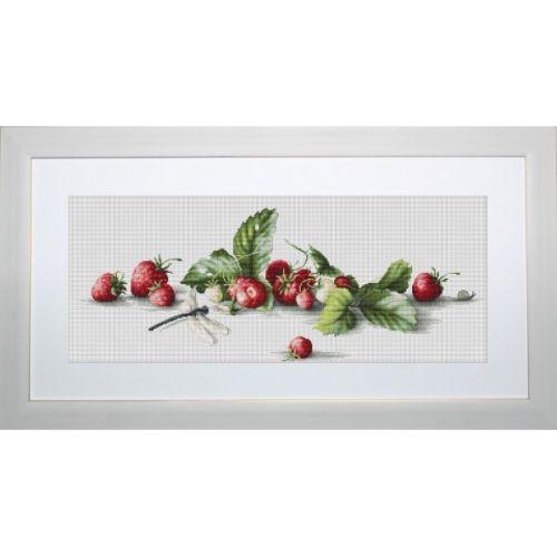 Point de croix broderie kit par Luca-S B2254 Fraises avec libellule